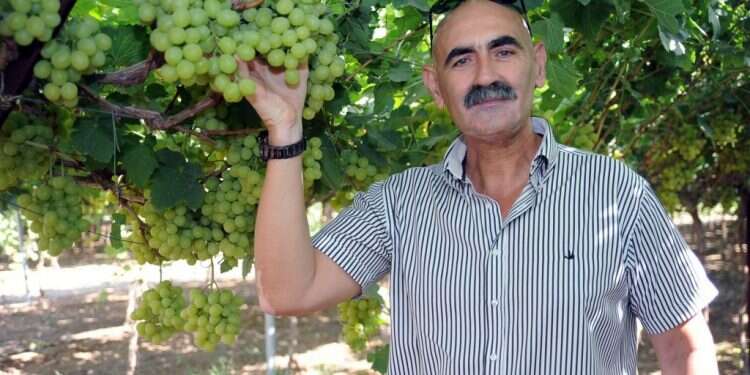 דוד אלחייני בבקעת הירדן. צילום: גיל אליהו - ג'יני
 יו"ר מועצת יש"ע לא חוזר בו מאמירתו נגד טראמפ