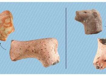 שברי צלמיות סוסים, אריה וציפור שנמצאו בעפר הר הבית. צילום: מיזם סינון עפר הר הבית המוני פסלים מימי בית ראשון אותרו בהר הבית