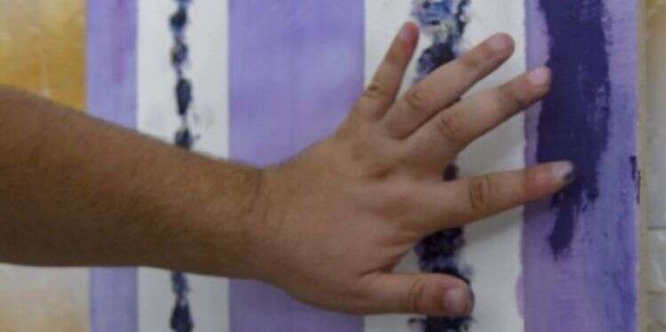 שחור, כחול ולבן או סגול: מהו צבע התקופה?