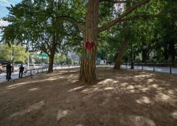 והעיקר: לגלות את שורשי הדברים