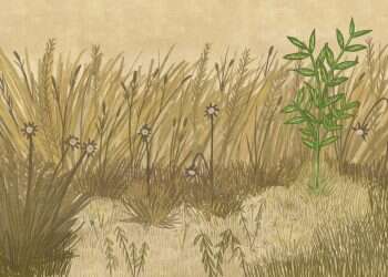 מגפה פוקחת עיניים