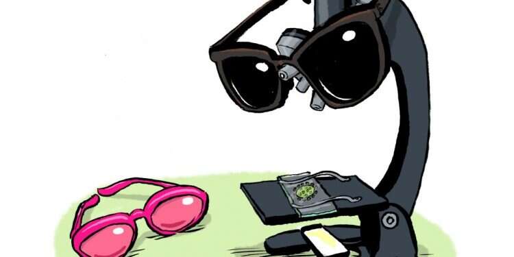 איור: שי צ'רקה איור: שי צ'רקה