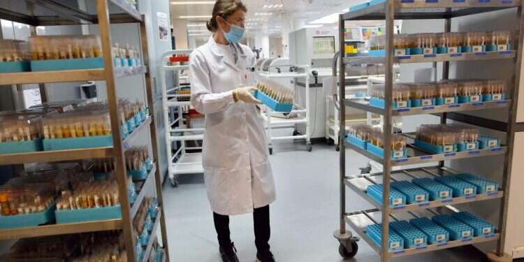 בדיקות סרולוגיות במעבדה באור־יהודה. צילום: AFP אין הכרח להגיע לאפס הדבקות כדי לאפשר שגרת מגפה לאומית