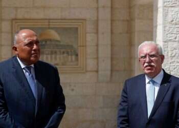 "נוטשת את פלסטין": הרש"פ מאיימת לפרוש מהליגה הערבית