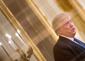 עלייתו ונפילתו של דונלד טראמפ