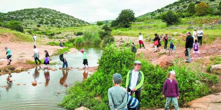 נעלמו מהסביבה: פעילים ירוקים דתיים לא מבינים למה הם לבד