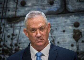 מדליקים לפיד: כחול לבן הבינו שכדי לשרוד, צריך להילחם