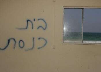 תרנגולים מהלכים בו: בתי הכנסת שהושארו מאחור