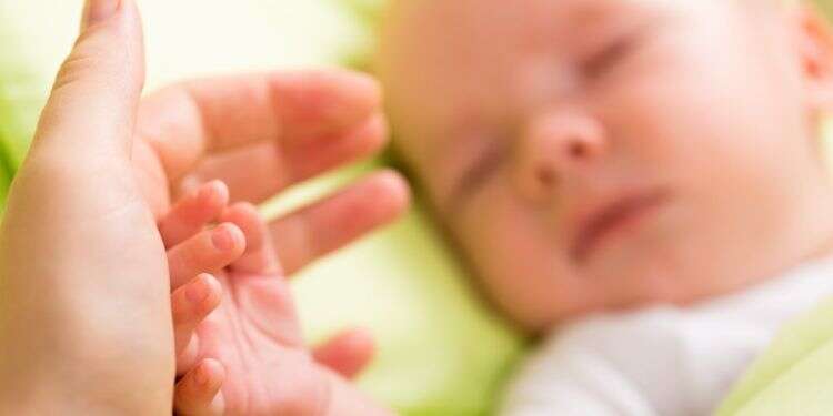 צילום: שטרסטוק אביי, האם, ונחיצותו של שימוש תלמידי חכמים