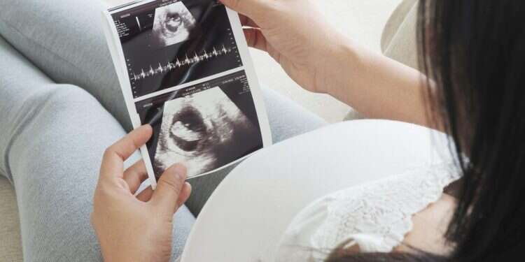 החוקרת שלומדת על מי שלא יודעים דבר על אבא