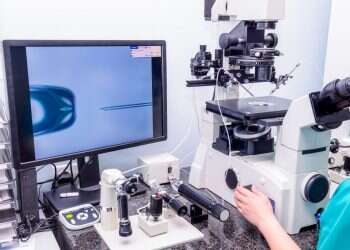 החוקרת שלומדת על מי שלא יודעים דבר על אבא