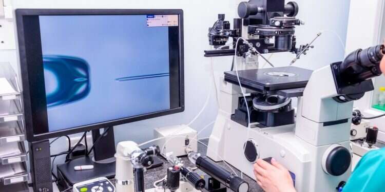 מעבדה לטיפולי פוריות. צילום: שאטרקסטוק החוקרת שלומדת על מי שלא יודעים דבר על אבא