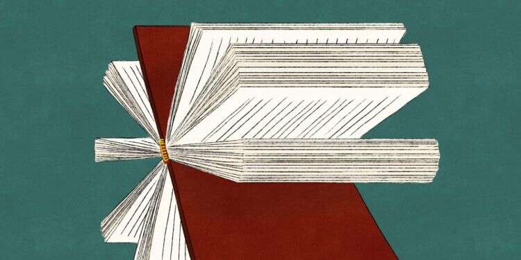 איור: שרון ארדיטי