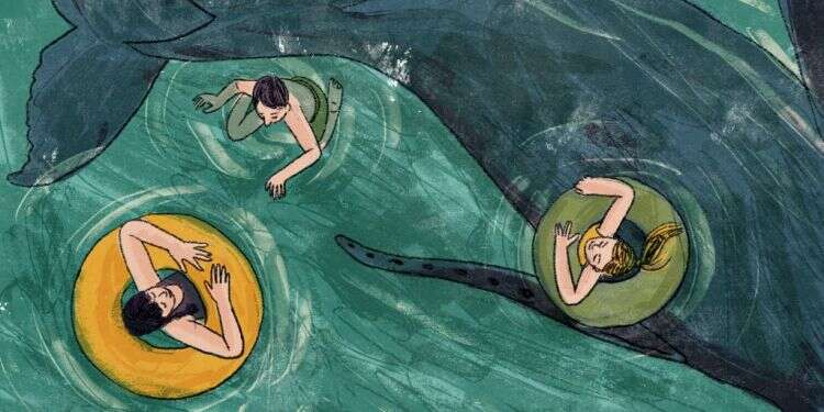 איור: נועה קלנר איור: נועה קלנר