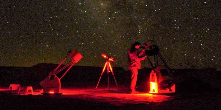 טבע, תרבות ואוכל: בילויים לקיץ בערבה או בבית