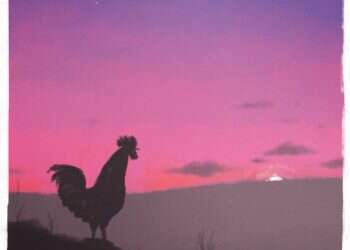 איור: מנחם הלברשטט איור: מנחם הלברשטט