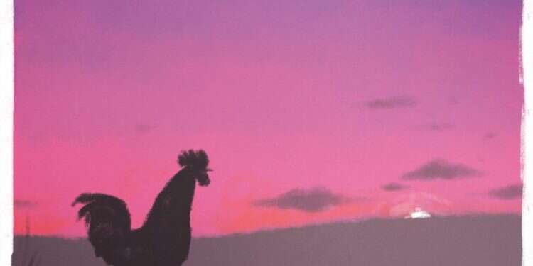 איור: מנחם הלברשטט איור: מנחם הלברשטט