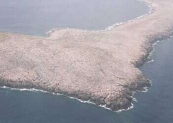 הישרדות: ספינת המעפילם שנתקעה על אי בודד