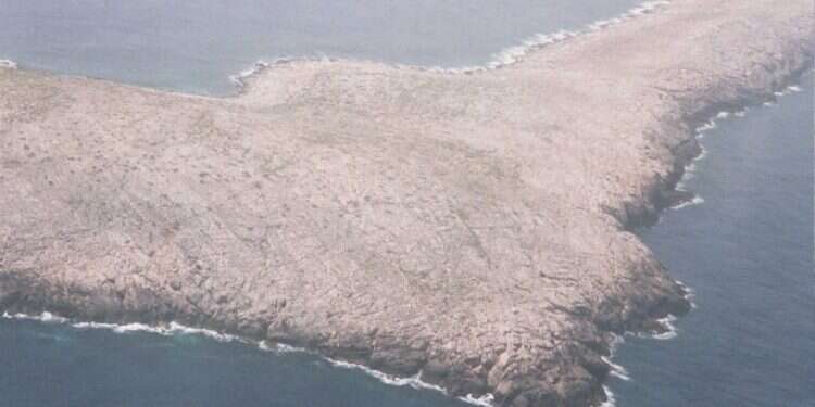 כשעלה הבוקר גילו הנוסעים את המקום שיהפוך לביתם בעשרת הימים הקרובים: אי זעיר, טרשי ושומם. כמילי. צילום: Mashalif הישרדות: ספינת המעפילם שנתקעה על אי בודד