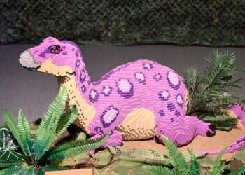 דינוזאורים, לפידים אולימפיים והישרדות: מקומות שהילדים ישמחו לבקר בהם