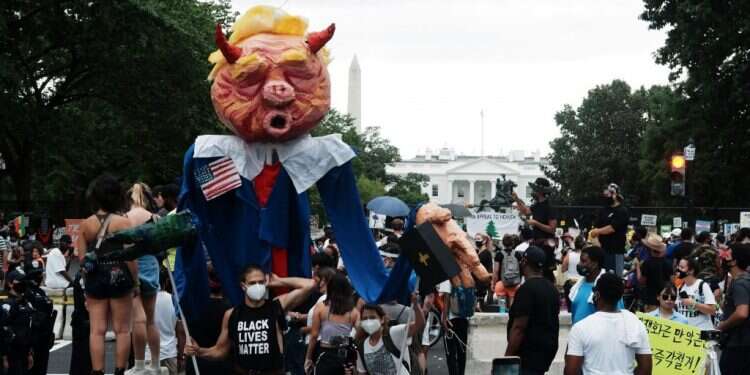 מצעד מחאה בוושינגטון. צילום: EPA מחאות ופוליטיקה 2020: הגבולות עוברים לא רק בין ימין לשמאל