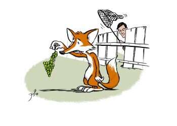 איור: שי צ'רקה