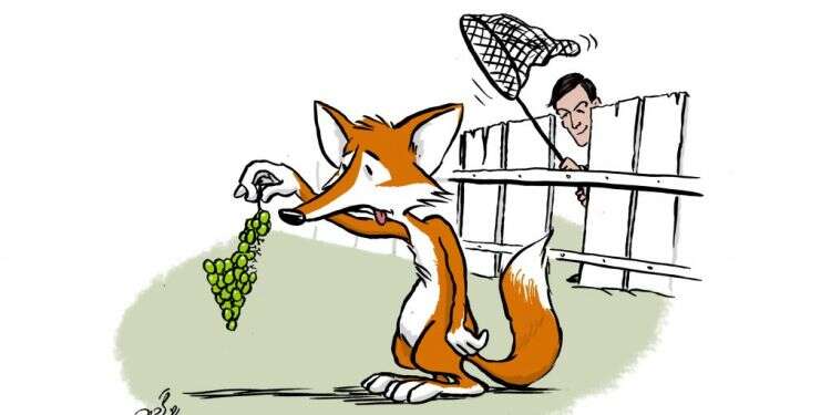 איור: שי צ'רקה