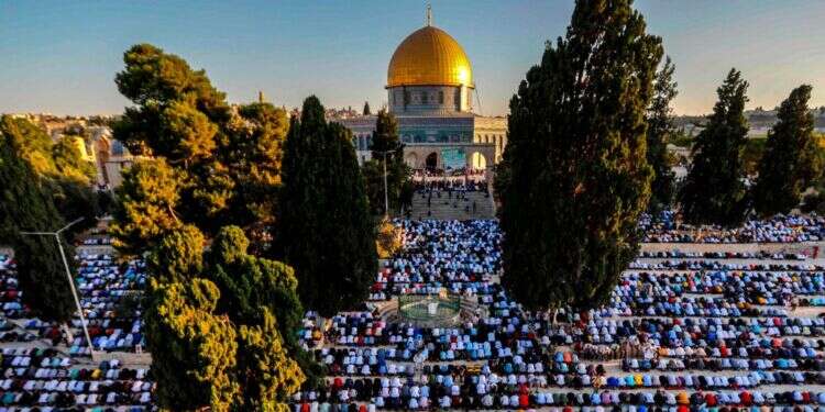 תפילת המוסלמים ההמונית בהר הבית, כאשר הם פונים לכיוון מכה ואחוריהם לכיפת הסלע. צילום: AFP מחקר מוסלמי מרגיע: בגלל המחלוקות היהודים לא מתפתחים בהר הבית
