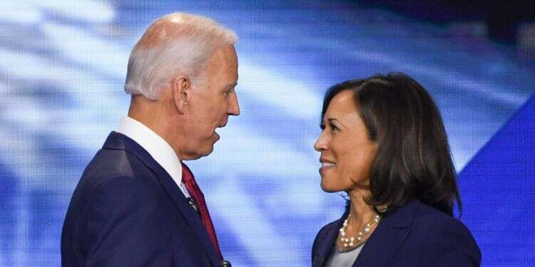 גו'ן ביידן וקאמלה האריס. צילום: AFP הפכים משלימים: ג'ו ביידן בחר בכל מי שהוא לא