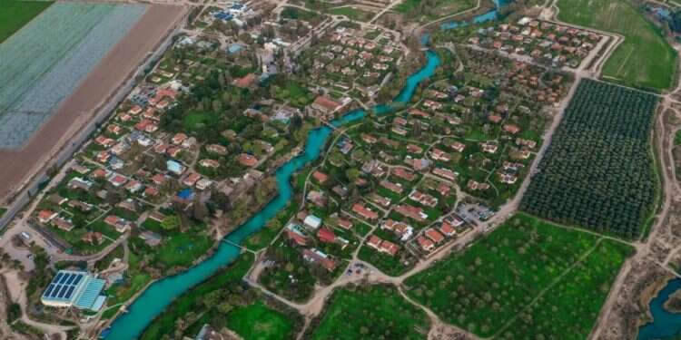 החוקרים שיחזירו לחיים את האדם הקדמון והממותה