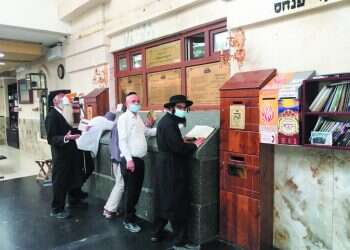 מדוע פרופ' גמזו לא מצליח להשתלט על המגפה?