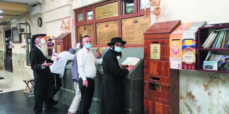 מדוע פרופ' גמזו לא מצליח להשתלט על המגפה?