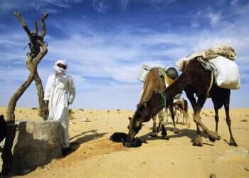 סימון שבילים: לבחור את הדרך הנכונה
