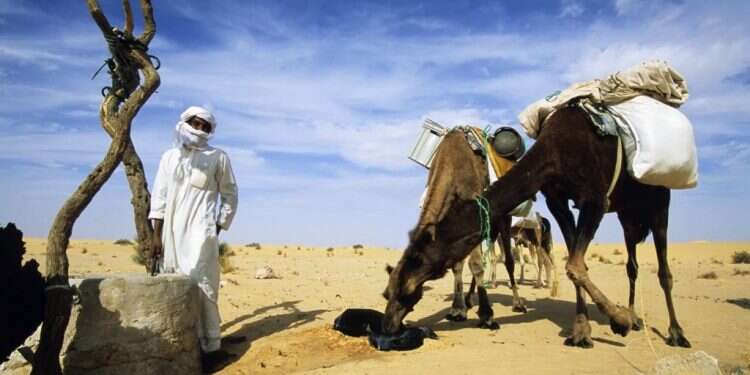 אם יש דרך לפתור את בעיית שאיבת המים בשבת, מדוע לא לפתוח אותה לכל מי שנדרש להשקות את בהמותיו בכל מקום שהוא?. צילום: שאטרסטוק סימון שבילים: לבחור את הדרך הנכונה