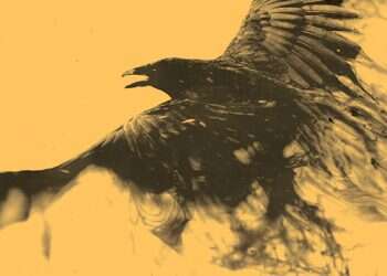 גיבור העל הגלעדי: אליהו הנביא של ימינו