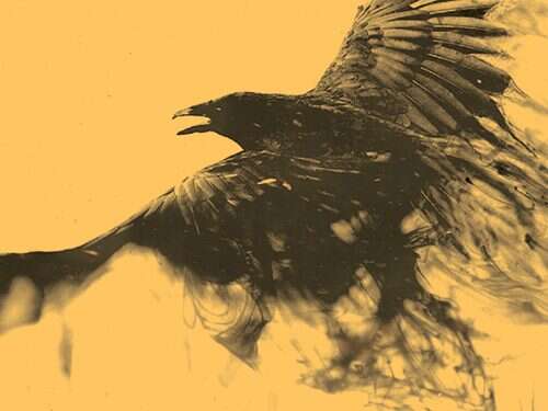 אליהו, יונתן יוגב, פרדס, תש גיבור העל הגלעדי: אליהו הנביא של ימינו