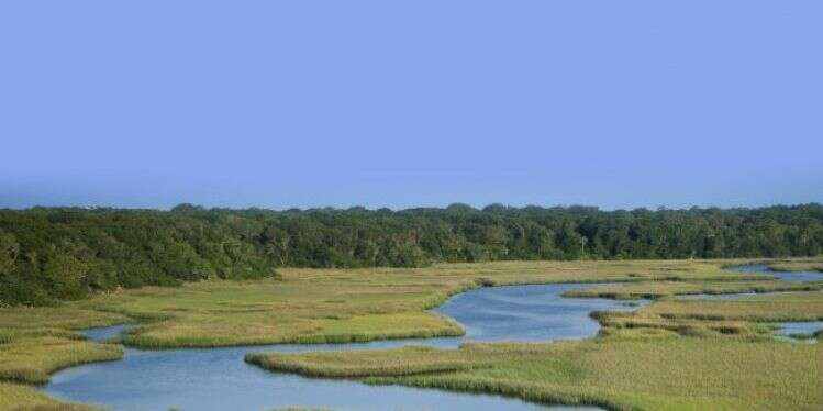 צילום: שאטרסטוק