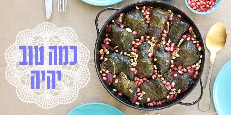 צילום: אפרת ליכטנשטט