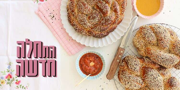 צילום: אפרת ליכטנשטט