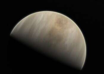 סימני החיים בנוגה עשויים לגרור מרוץ מדעי אליו