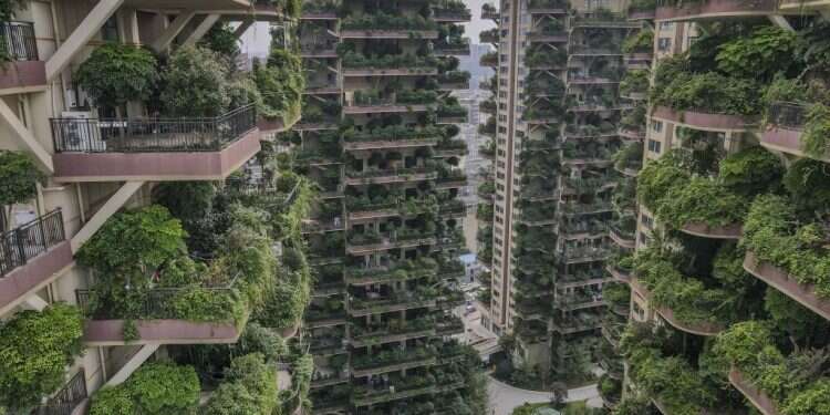דירות עם מרפסות מכוסות צמחים בצ'נגדו, במחוז סצ'ואן שבסין, לפני שבועיים. צילום: EPA היער העירוני: חלום סוריאליסטי של בנייה אקולוגית