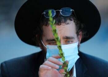 350 דולר לסט: איך השפיע משבר הקורונה על מחירי ארבעת המינים בעולם