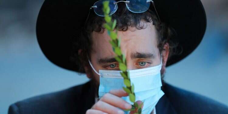 350 דולר לסט: איך השפיע משבר הקורונה על מחירי ארבעת המינים בעולם