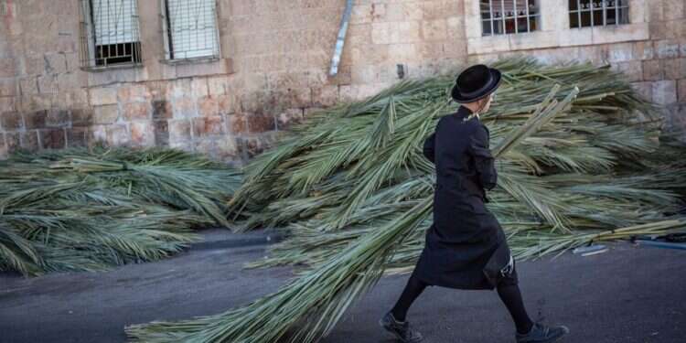 למרות הכל: לשמוח בסוכה, גם השנה