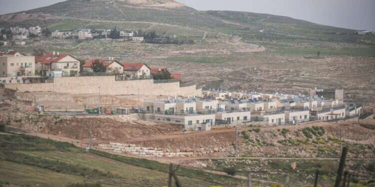 תקוע. צילום: הדס פרוש, פלאש 90 צילום: הדס פרוש, פלאש 90