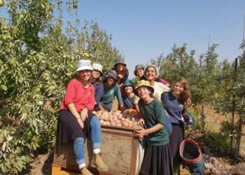 מצמיחים את הנפש: תורה וחקלאות בכפיפה אחת