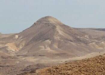 "אם לא נאבק בפולשים, לדורות הבאים לא ישאר מדבר"