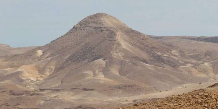 צילום: דויד מנינגר "אם לא נאבק בפולשים, לדורות הבאים לא ישאר מדבר"