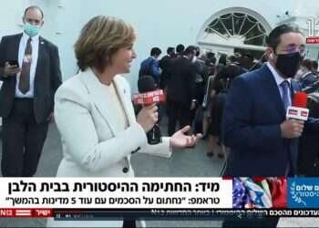 מבוכה גדולה ושמה דנה ויס