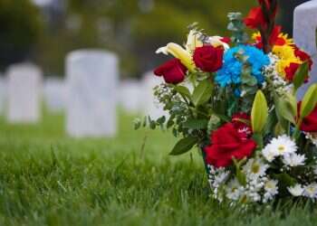 צילום: שאטרסטוק